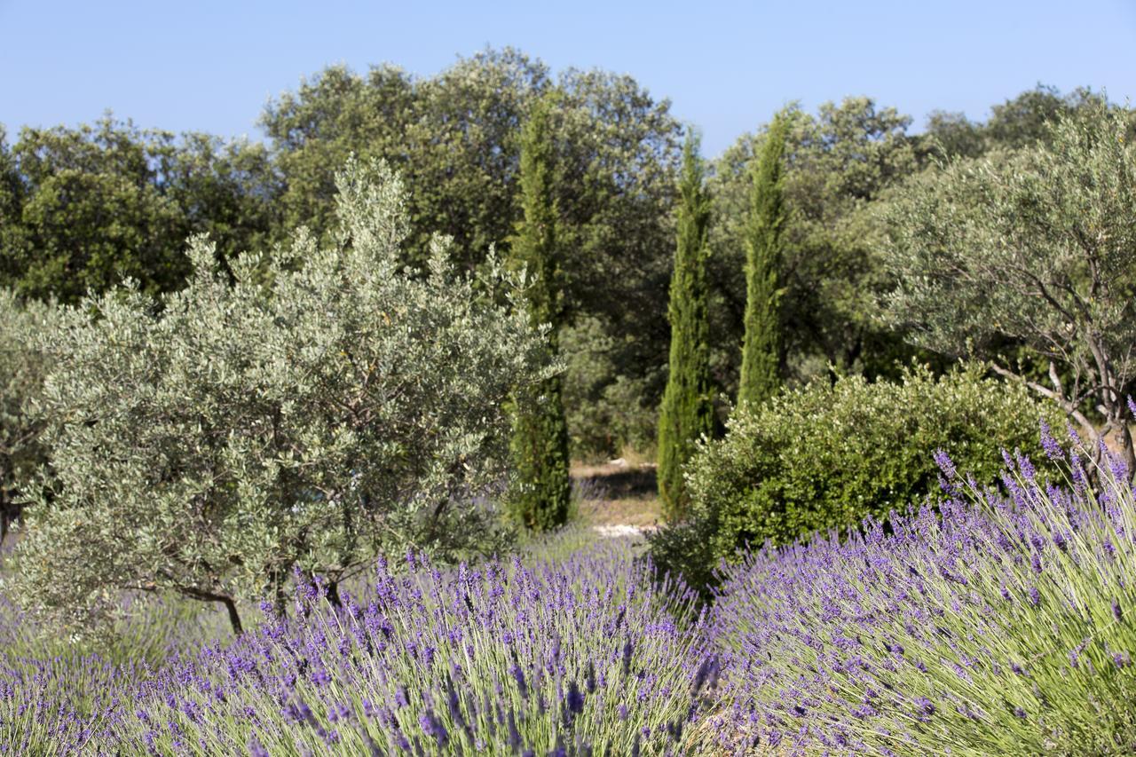 La Cle Des Champs, Boutique Hotel & Spa - Le Mas De Garrigon Roussillon  Luaran gambar